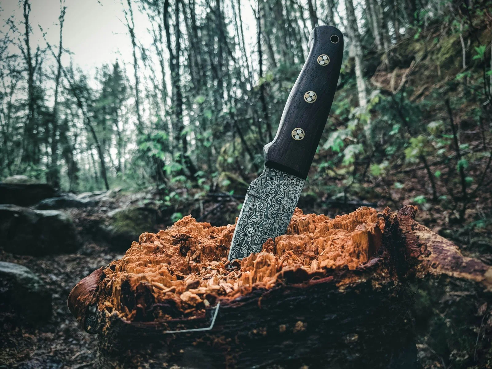 Outdoor Knives -Outdoor Knives 9