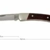 Buck 503 Prince 0503RWS-B, Rosewood -Outdoor Knives BUCK0503RWS B 01 buck 503 prince knife buck0503rws b 01