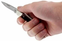 Buck 503 Prince 0503RWS-B, Rosewood -Outdoor Knives BUCK0503RWS B 05 buck 503 prince knife buck0503rws b 05