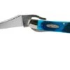 Case Russlock Caribbean Blue Bone, Sawcut, 25589, 61953L SS Pocket Knife -Outdoor Knives CE25589 01 case