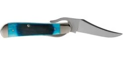 Case Russlock Caribbean Blue Bone, Sawcut, 25589, 61953L SS Pocket Knife -Outdoor Knives CE25589 02 case