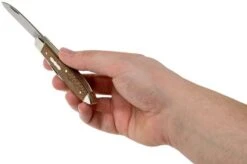 Case Tear Drop Bose Brown Sycamore Wood, 27268, TB72028 SS Pocket Knife -Outdoor Knives CE27268 05 case