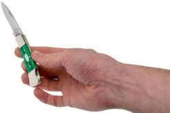 Case Lockback SparXX Green Pearl Kirinite Smooth, 27372, 101225L SS Pocket Knife -Outdoor Knives CE27372 07 case