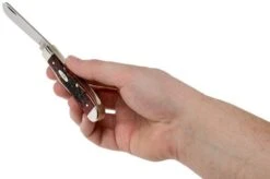 Case Mini Trapper Crimson Red Peach Seed Jigged Bone, 27381, 6207 SS Pocket Knife 11 Case Mini Trapper Crimson Red Peach Seed Jigged Bone, 27381, 6207 SS Pocket Knife -Outdoor Knives CE27381 05 case