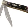 Case Peanut Purple Bone, Standard Jig, 31623, 6220 SS Pocket Knife -Outdoor Knives CE31623 01 case knives
