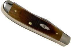 Case Mini Trapper Dark Molasses Bone, Sawcut, 83141, 6207 SS Pocket Knife -Outdoor Knives CE83141 04 case
