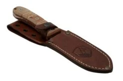 Condor Tactical P.A.S.S. Chute Knife, Fixed Knife -Outdoor Knives CTK1827 105 4C 06 condor