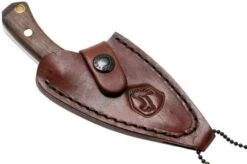 Condor Pangui Knife 802-3.26HC Neck Knife 60706 -Outdoor Knives CTK802 326HC 08 condor