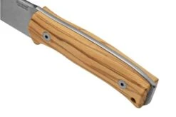 Lionsteel M4 Olive MagnaCut M4-MC-UL, Knivesandtools Exclusive, Fixed Knife -Outdoor Knives LI M4 MC UL 04 lionsteel