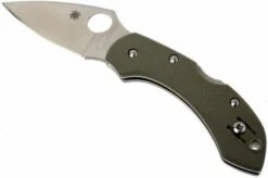 Spyderco Dragonfly Foliage Green G10 C28GPFG Pocket Knife