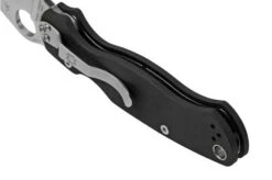 Spyderco Paramilitary 2 C81GP2 Pocket Knife -Outdoor Knives SPC81GP2 04 spyderco