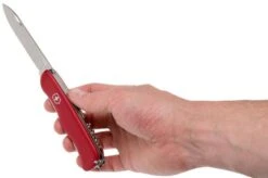 Victorinox Cheese Knife 0.8303.W Swiss Pocket Knife -Outdoor Knives VT0 8303 W 05 victorinox