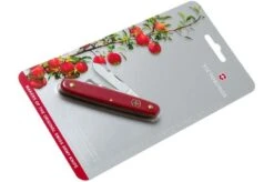 Victorinox Budding Knife Combi S 3.9040.B1 Red -Outdoor Knives VT3 9040 B1 07 victorinox